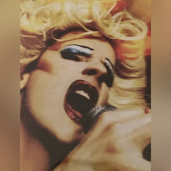 Hedwig and the Angry Inch original motion picture soundtrack never played 🔥🔥🌺 - Picture 2 of 7